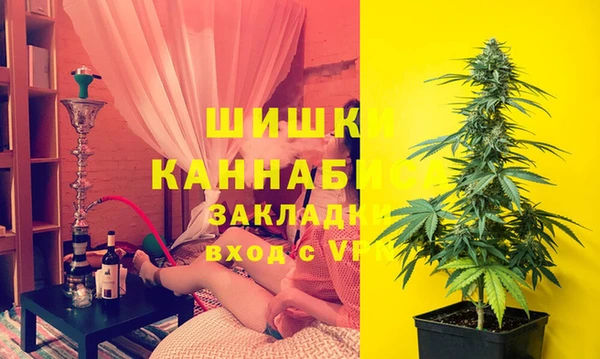 гидропоника Рославль